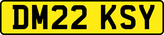 DM22KSY