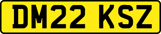 DM22KSZ