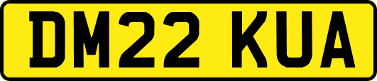 DM22KUA