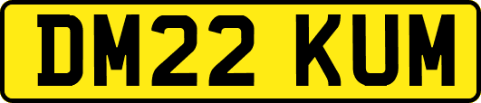 DM22KUM