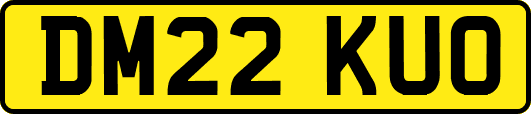 DM22KUO
