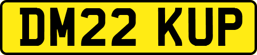 DM22KUP