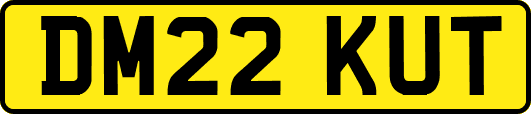 DM22KUT