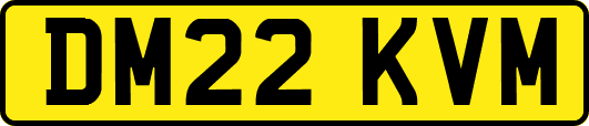 DM22KVM