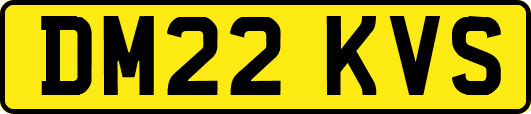 DM22KVS