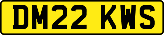 DM22KWS