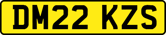 DM22KZS