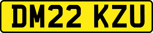 DM22KZU