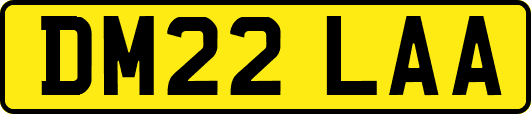 DM22LAA