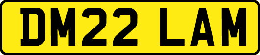 DM22LAM