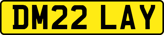 DM22LAY