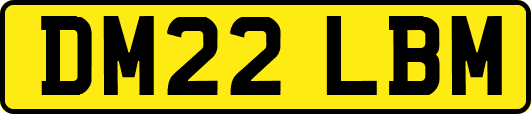 DM22LBM