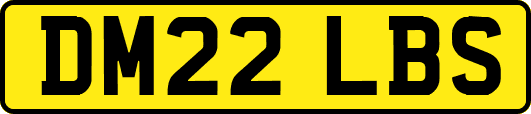 DM22LBS