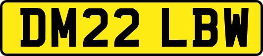 DM22LBW