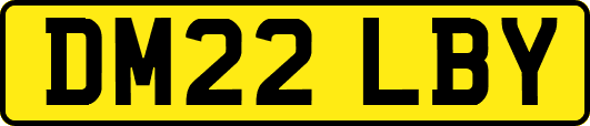 DM22LBY