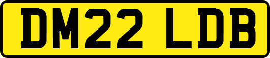 DM22LDB