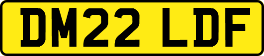 DM22LDF
