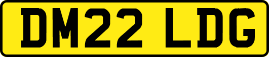 DM22LDG