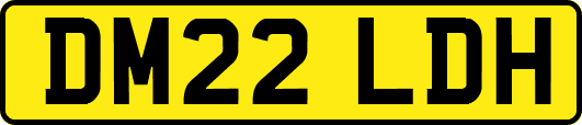 DM22LDH
