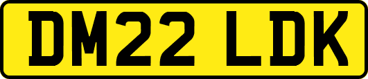 DM22LDK