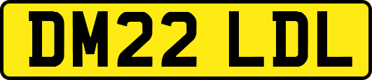 DM22LDL
