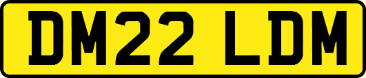 DM22LDM