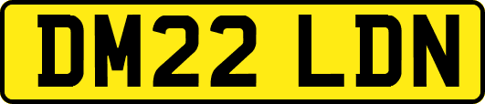 DM22LDN