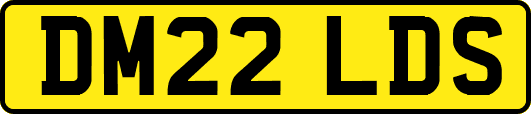 DM22LDS