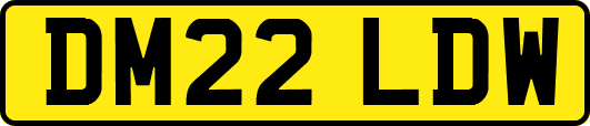 DM22LDW