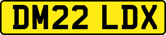DM22LDX