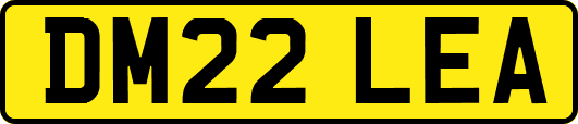 DM22LEA
