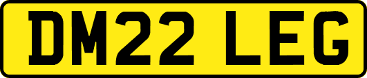 DM22LEG