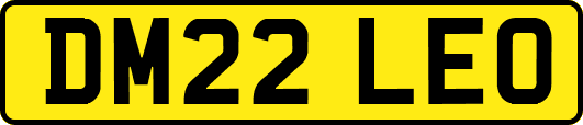 DM22LEO