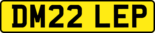 DM22LEP