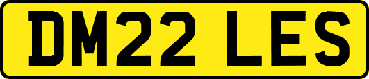 DM22LES