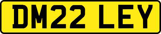 DM22LEY