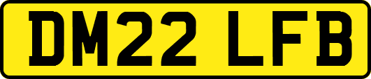 DM22LFB