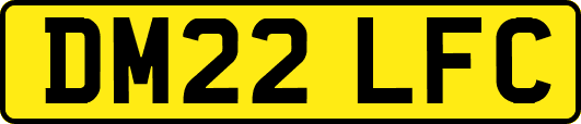 DM22LFC