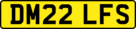 DM22LFS