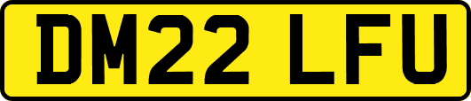 DM22LFU
