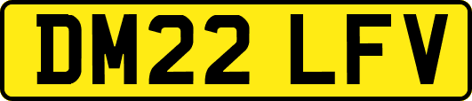 DM22LFV