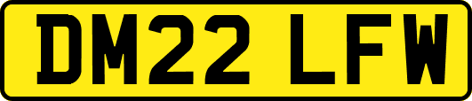 DM22LFW