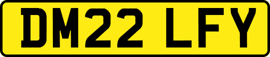 DM22LFY