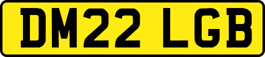 DM22LGB