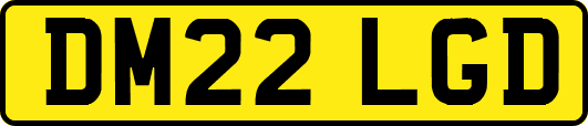 DM22LGD