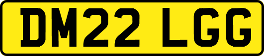 DM22LGG