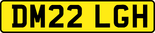 DM22LGH