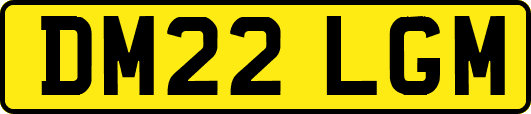 DM22LGM