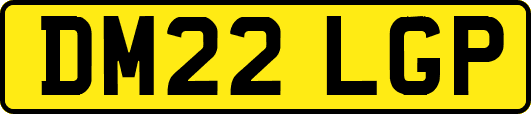DM22LGP