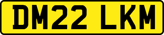 DM22LKM